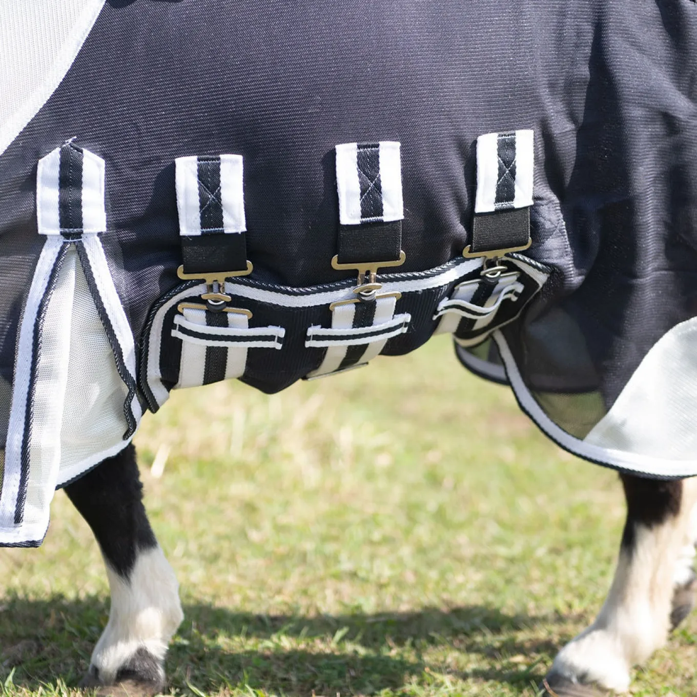 Supra Miniature Fly Sheet W/ Belly Band & Fly Mask