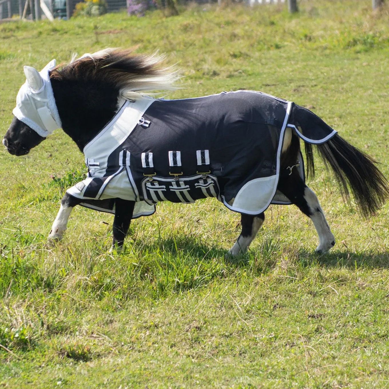 Supra Miniature Fly Sheet W/ Belly Band & Fly Mask