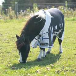 Supra Miniature Fly Sheet W/ Belly Band & Fly Mask