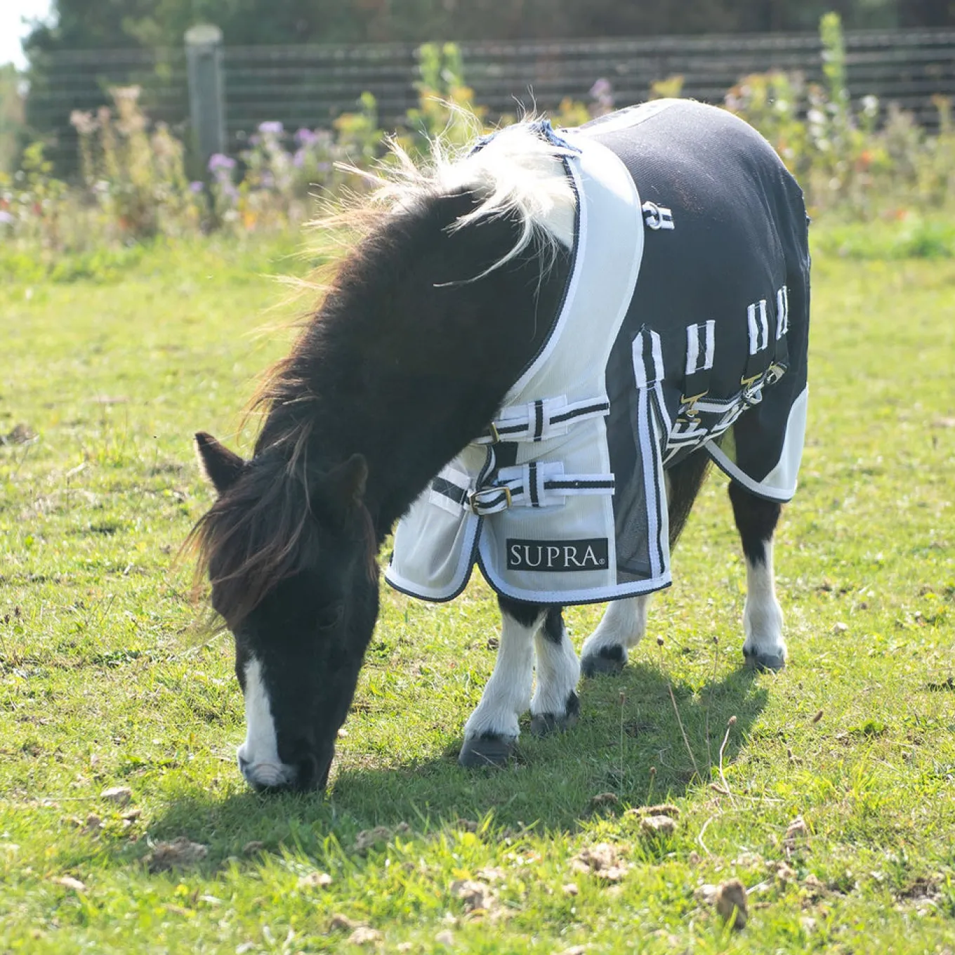 Supra Miniature Fly Sheet W/ Belly Band & Fly Mask