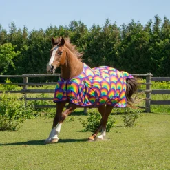 Supra Rainbow Fly Sheet