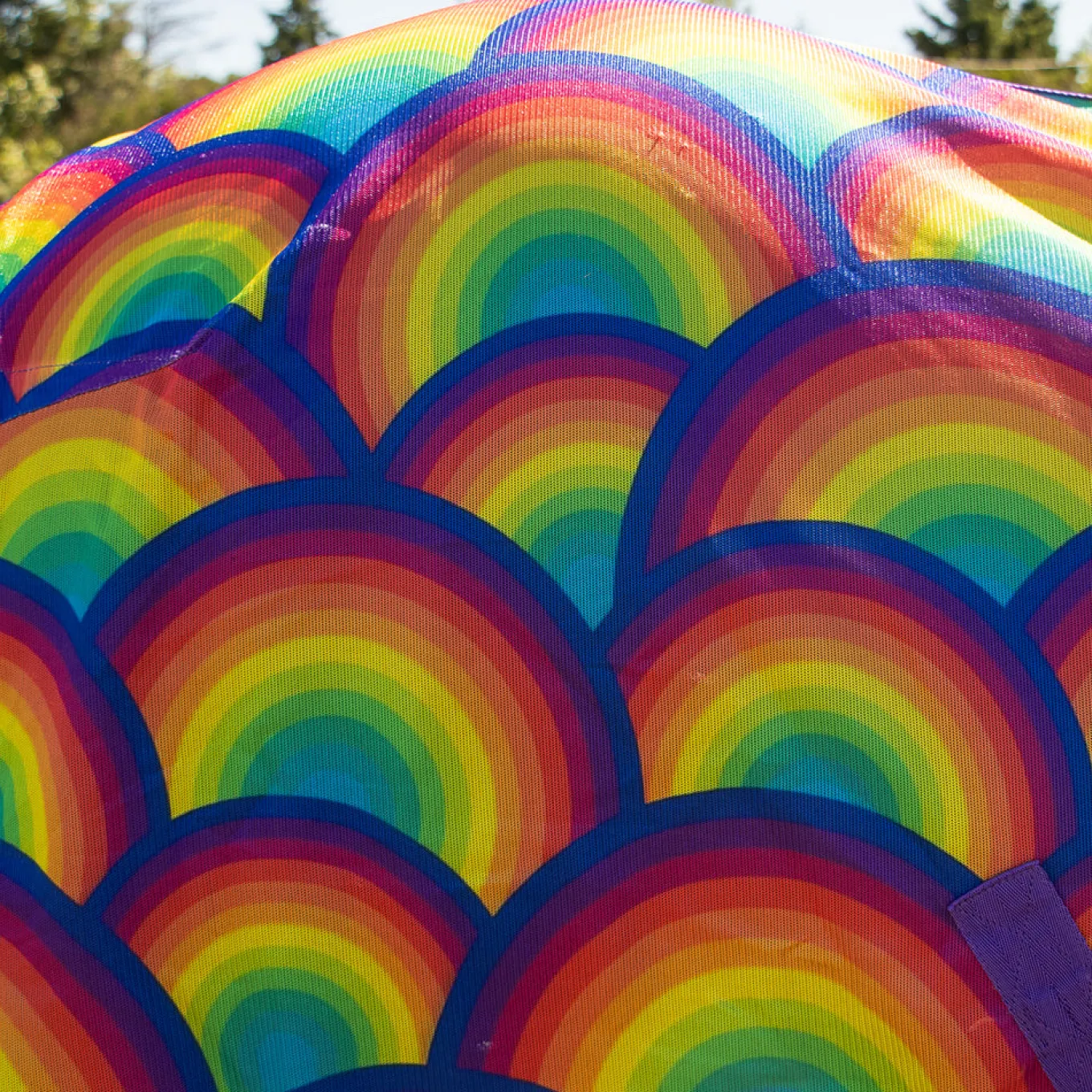 Supra Rainbow Fly Sheet
