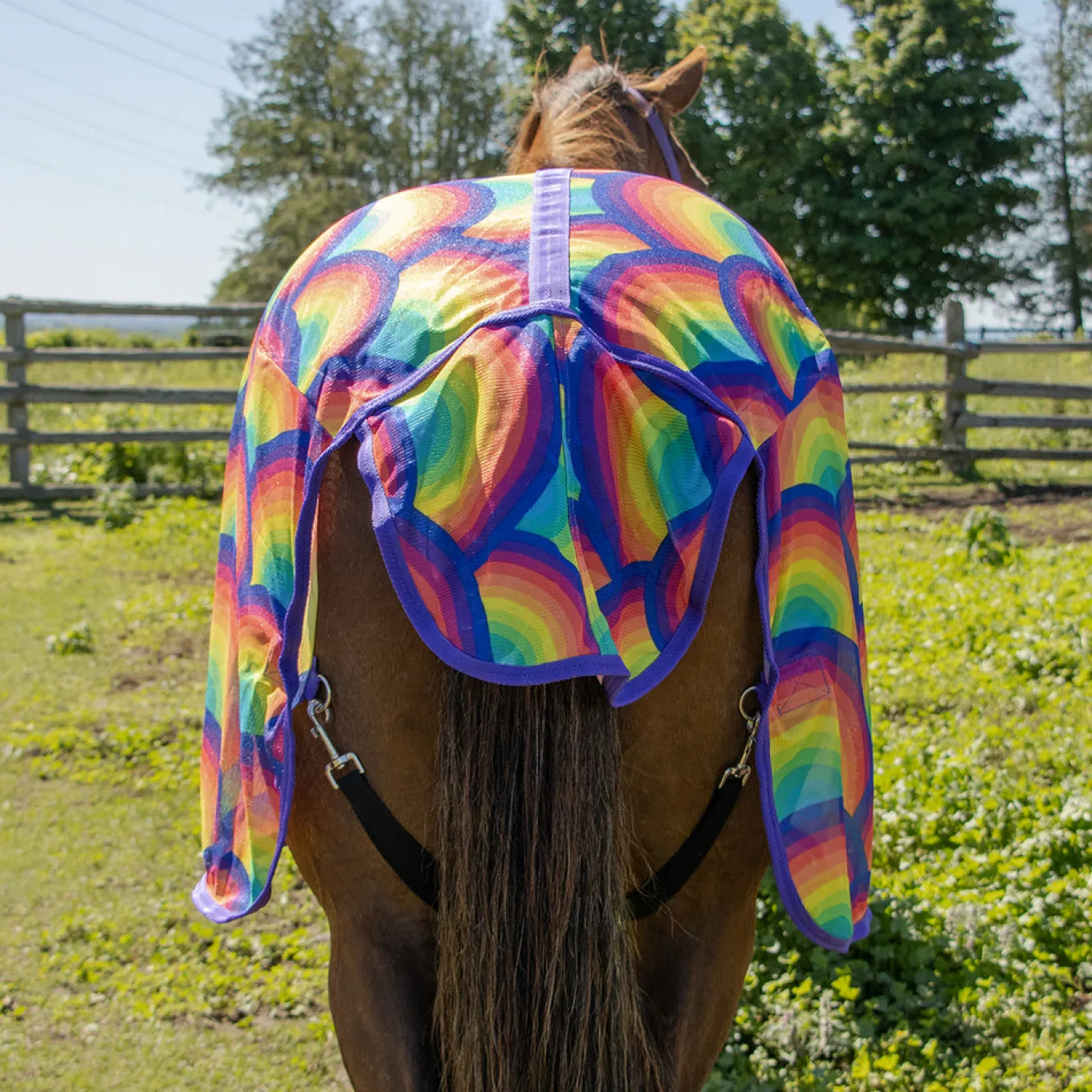 Supra Rainbow Fly Sheet