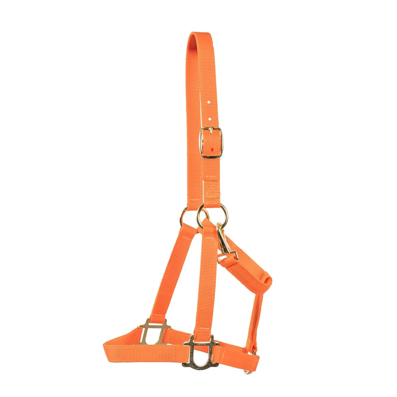 Supra Stable Halter