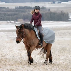 Swift Pony Exercise Sheet