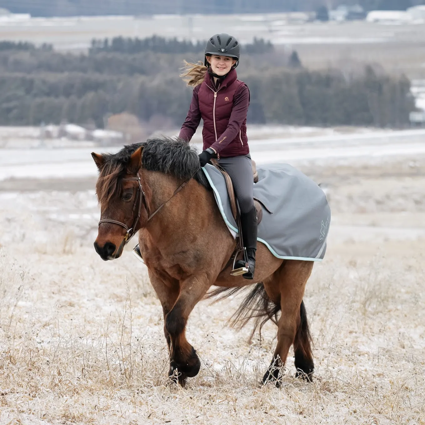 Swift Pony Exercise Sheet