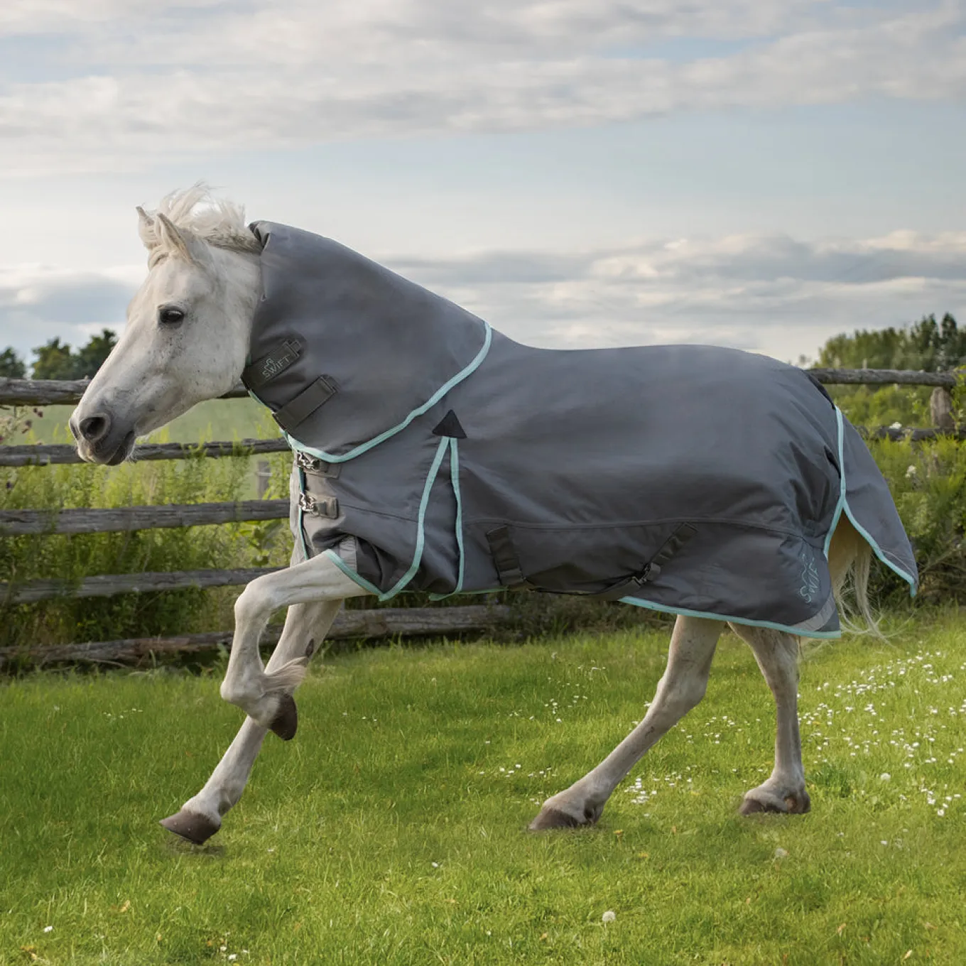 Swift Pony Rainsheet 0 g