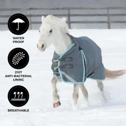 Swift Pony Turnout Blanket 300 g