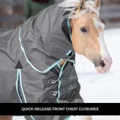Swift Pony Turnout Blanket 150 g