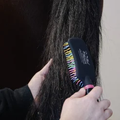 Tail Tamers Curved Handle Rainbow Brush