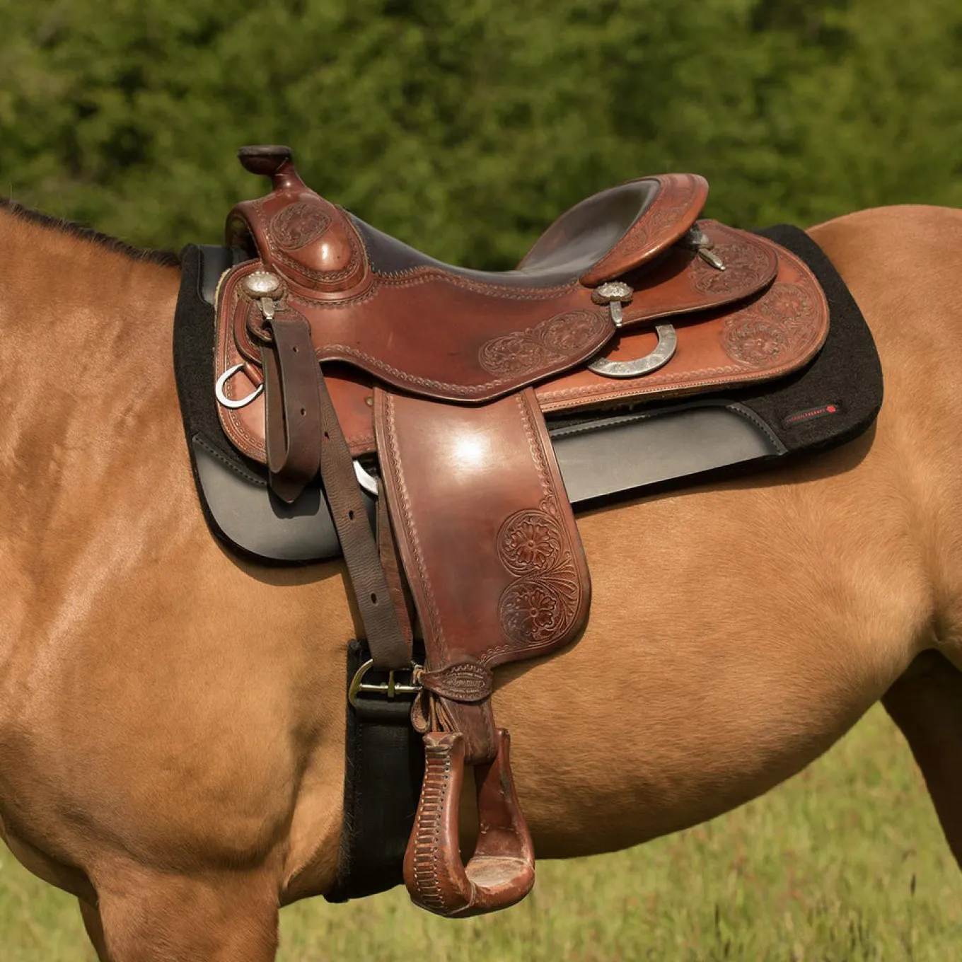 Thermal Therapy Western Felt Saddle Pad