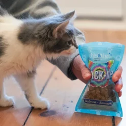 This & That Crack Nip Salmon Cat Treats 43 g