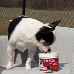 Tri-Acta Canine H.A. Maximum Strength Pet Supplement 60 g