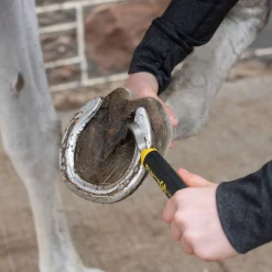 Ultimate Hoof Pick
