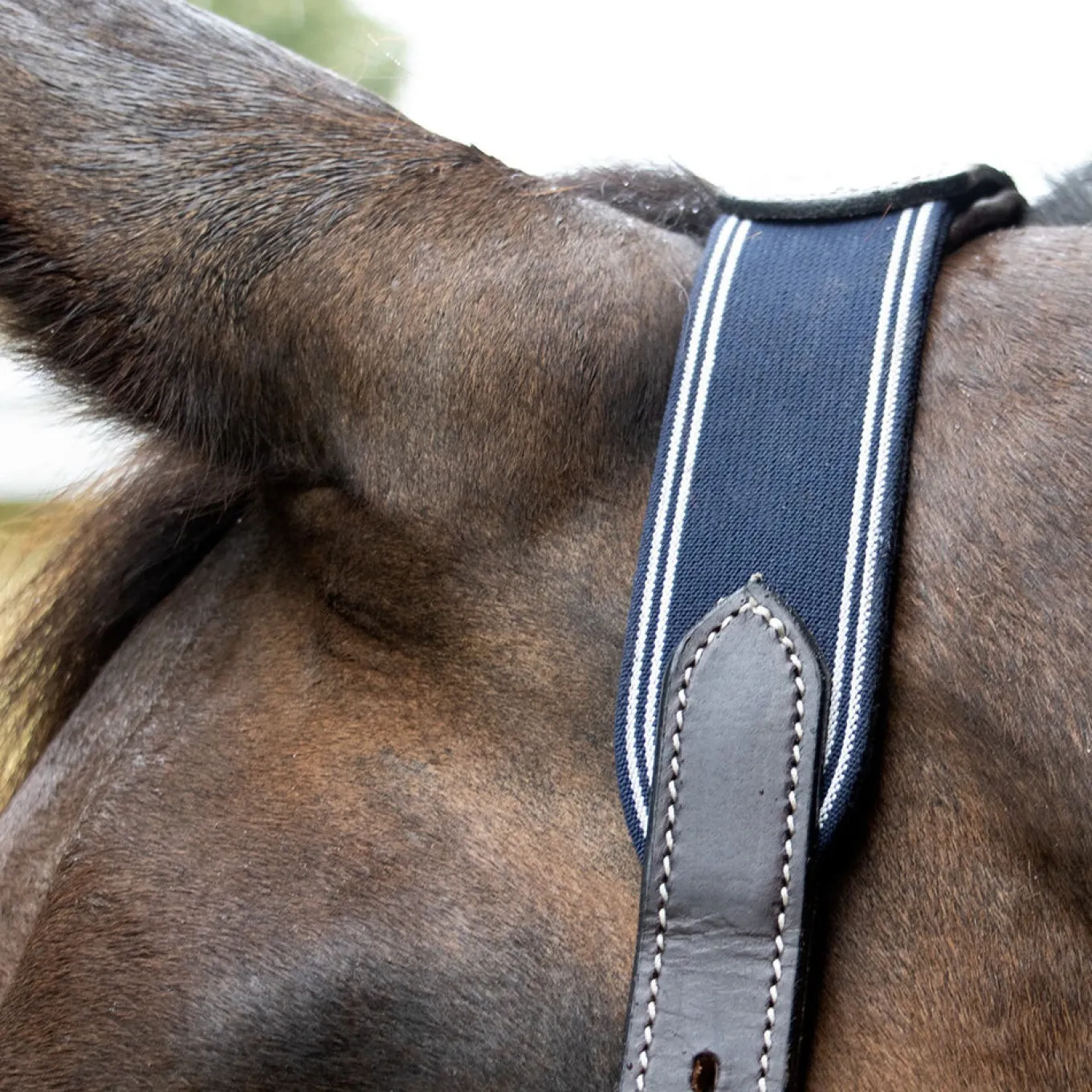 Val du Bois Comfort Crown Leather & Elastic Halter
