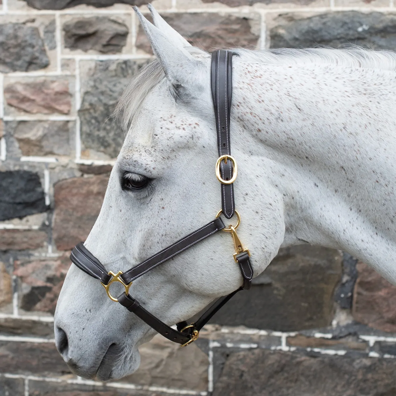 Val du Bois Comfort Soft Padded Leather Halter