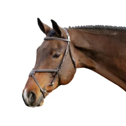 Val du Bois Padded Fancy Stitched Figure-8 Bridle