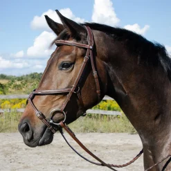 Val du Bois Padded Fancy Stitched Figure-8 Bridle
