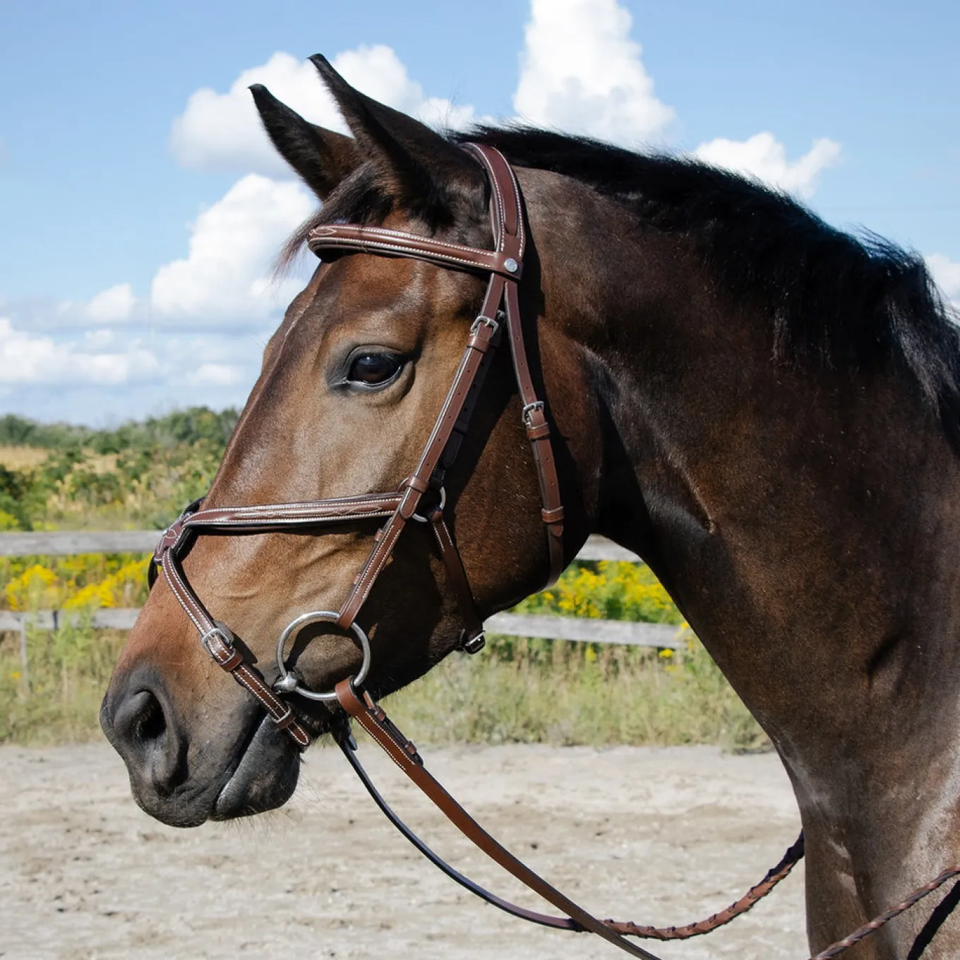 Val du Bois Padded Fancy Stitched Figure-8 Bridle