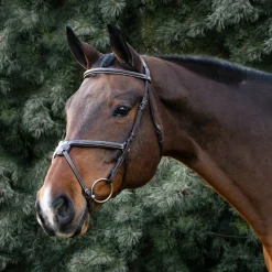 Val du Bois Padded Fancy Stitched Figure-8 Bridle