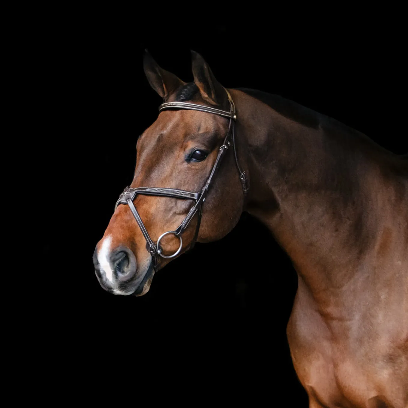 Val du Bois Padded Fancy Stitched Figure-8 Bridle