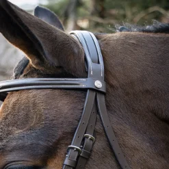 Val du Bois Padded Fancy Stitched Figure-8 Bridle