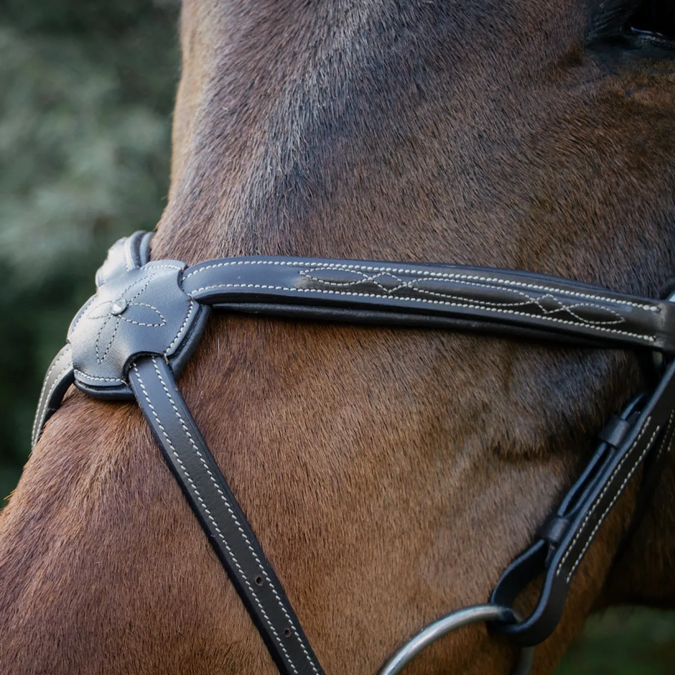 Val du Bois Padded Fancy Stitched Figure-8 Bridle