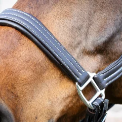 Val du Bois Synthetic Leather Halter