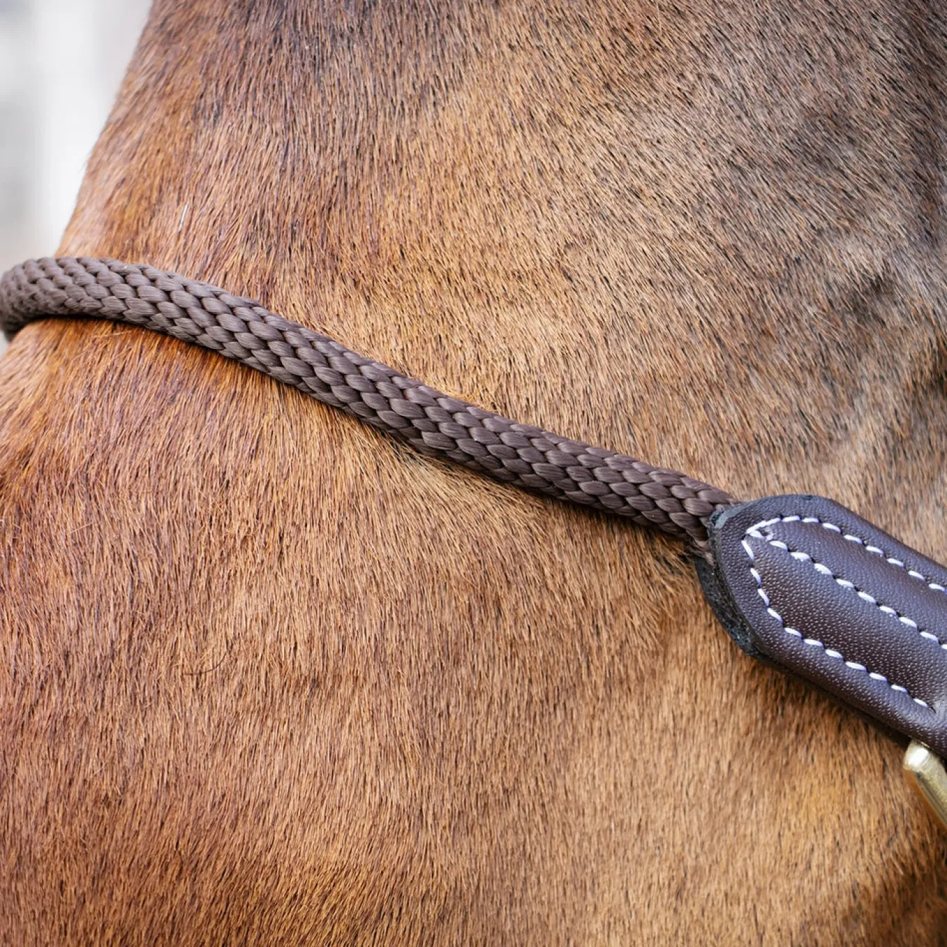 Val du Bois Training Vegan Leather Halter