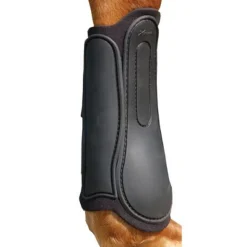 Xtreme Tendon & Splint Back Protection